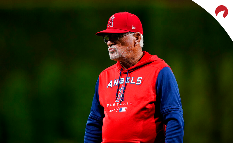 Joe Maddon - Bio, Net Worth, Career, Team Coach, Contract, Salary, Wife, Age,  Facts, Wiki, MLB Manager, Height, Family, Cubs, Angels, Record, News