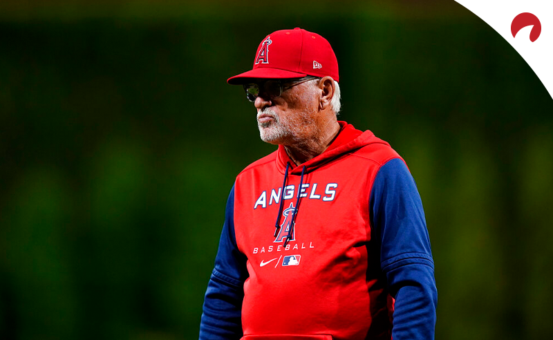 The Family Life of Baseball Manager Joe Maddon - BHW