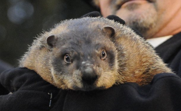 super bowl groundhog day commercial