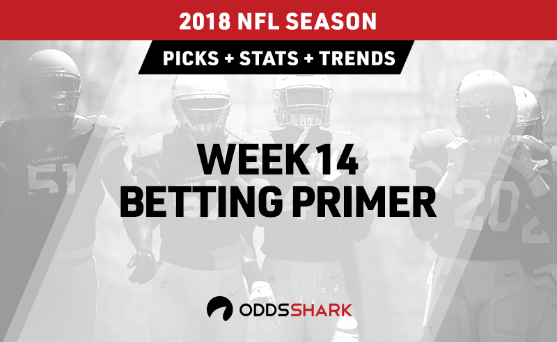 TOP NFL BETTING PICKS WEEK 14 (BY STATISTICS PH.D.!) 