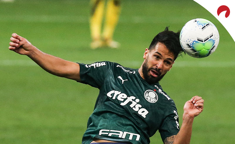 Palmeiras x Flamengo - Prognóstico para a 12ª rodada do ...