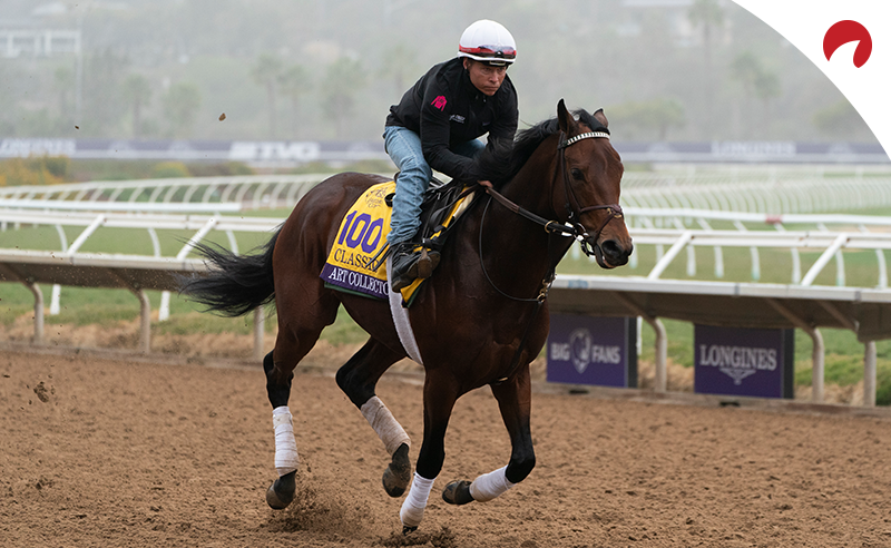 Breeders Cup Horses A Look At The Top Contenders Odds Shark