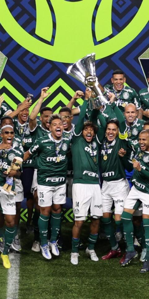 Palmeiras é campeão do Brasileirão 2023; veja a classificação completa -  Mundo Conectado